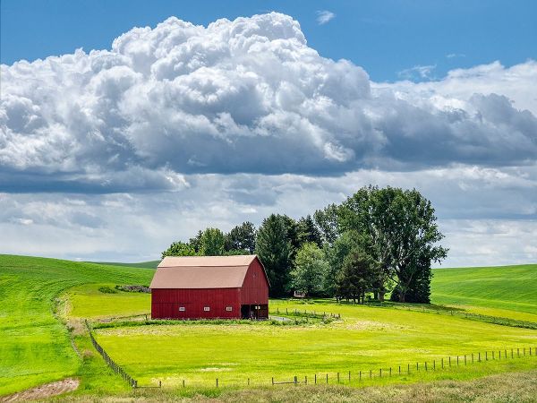 Eggers, Terry 아티스트의 USA-Washington State-Palouse-Old Red barn with fresh green fields작품입니다.